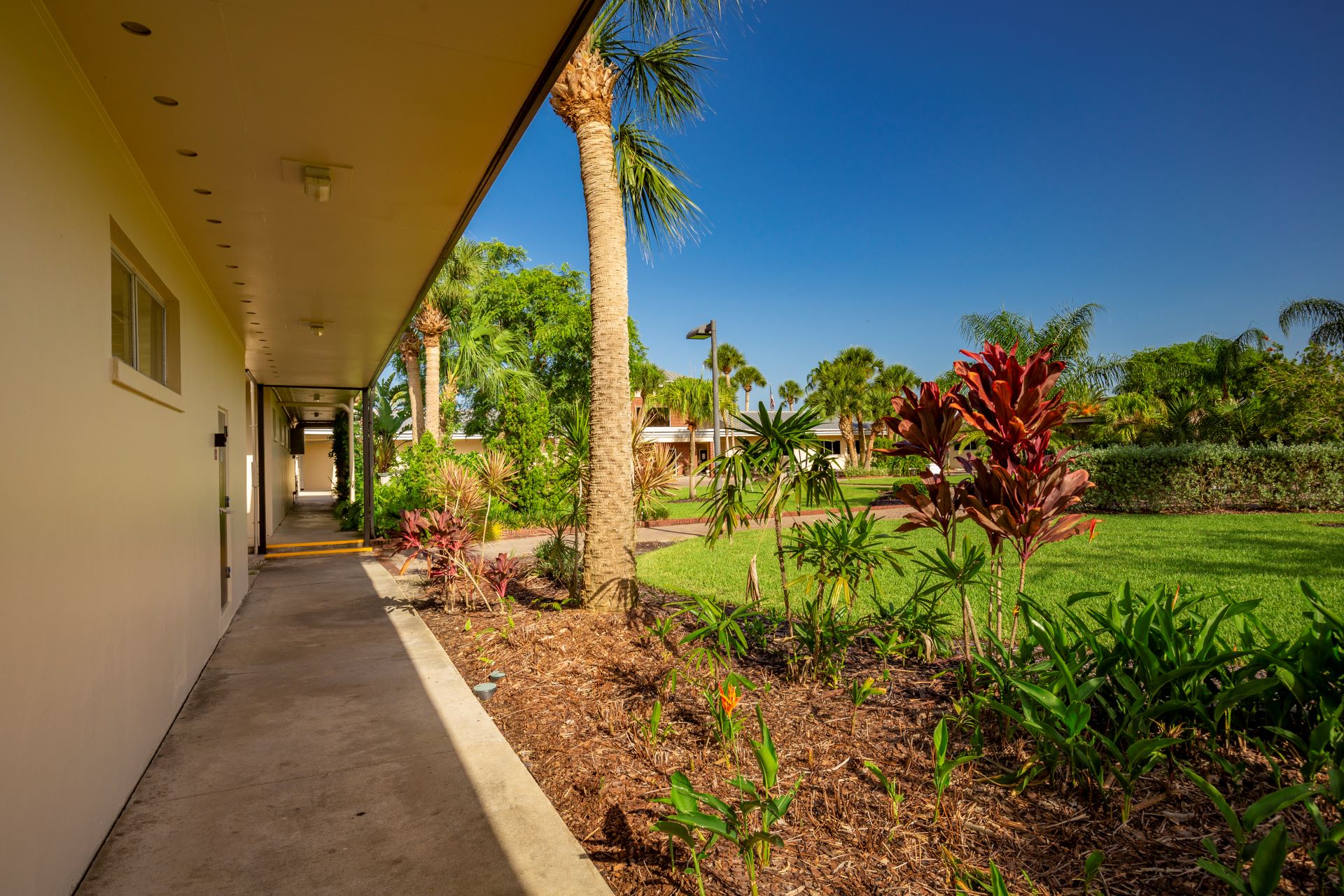 Covered walkway lined with tropical landscaping, including palm trees and vibrant plants, under a sunny blue sky